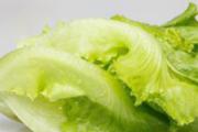 生菜不能和什么一起吃