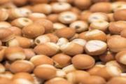 怎样挑选芡实是新货 芡实有哪些品种
