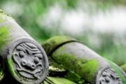 立春前冷还是立春后冷 立春后可以穿春装吗