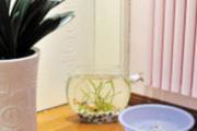 空调房里放盆水有用吗