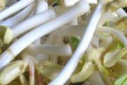 花生芽能涮火锅吗 花生芽可以炒着吃吗