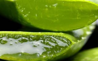 用了芦荟胶脸刺痛是怎么回事