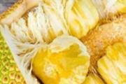 吃完菠萝蜜可以吃冰淇淋吗 吃了菠萝蜜可以喝牛奶吗