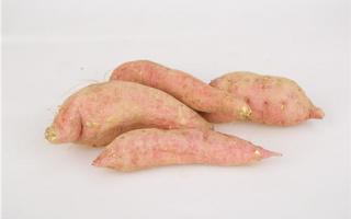 什么中成药治胃病最好,治胃病最好的中成药