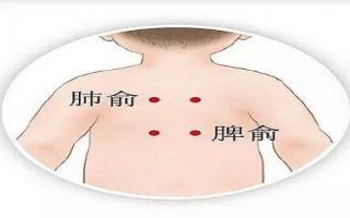 脾俞的准确位置图,脾俞的定位,脾俞的准确位置图和作用-乐哈健康网