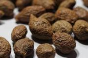 胖大海有毒吗 用药不当会有毒！