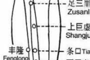 上巨虚和下巨虚的位置及功效 上巨虚一按疼痛的原因