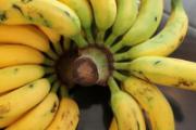 米蕉的功效与作用