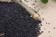 保护身体吃什么食物好 从头补到脚