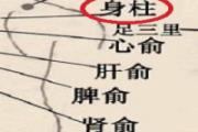 身柱的准确位置图视频 身柱的功效与作用