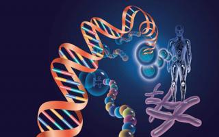 血小板减少吃什么食物好, 血小板减少吃什么好