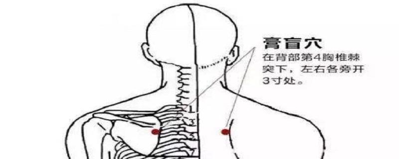 膏肓的功效作用