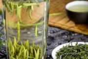绿茶什么人不适合喝 绿茶的饮用禁忌是什么