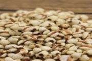 薏苡仁糖尿病可以吃吗 薏苡仁怎样吃降血糖