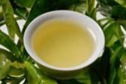 绿茶是什么茶