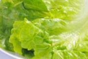 生菜能生吃吗
