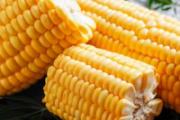 新鲜玉米可以放冷冻吗 没煮熟的玉米能吃吗