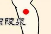 阳陵泉的准确位置图和作用 阳陵泉的作用与好处