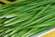 春天吃韭菜有什么作用 韭菜的食用禁忌