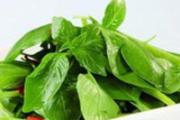 荆芥吃多了好不好
