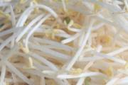 春吃芽，夏吃瓜，秋吃果，冬吃根，你知道这其中的奥秘吗？