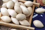白果怎么食用方法 白果怎么吃不会中毒