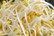 豆芽有点烂了还可以吃吗 豆芽有点苦可以吃吗