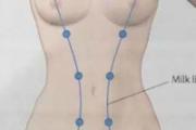不能被小看的副乳