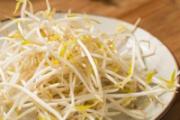 买的绿豆芽怎么存放 豆芽放冰箱7天还能吃吗
