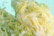 大白菜怎么吃减肥 白菜这样吃胜过运动1小时