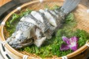 石斑鱼宝宝可以吃吗 宝宝吃石斑鱼有什么好处