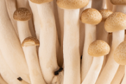 鲜蘑菇放冰箱能放多久 鲜蘑菇发霉了还可以吃吗