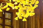 空调扇没水会怎么样 空调扇加满水能用多久