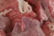 猪肺的营养价值