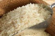 米里面有黑虫还能吃吗 米里面有黑虫怎么办