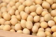 儿童营养不良吃什么好 多吃这4类食物