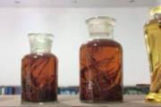 什么人不能喝药酒