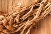 茶树菇用什么水泡发 茶树菇如何挑选