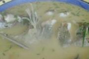 桂鱼汤的功效与作用