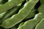 四季豆长斑点能吃吗 四季豆变色可以吃吗