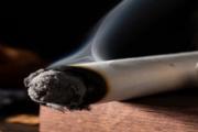 艾条艾柱艾绒的区别 艾绒和艾柱哪个效果好