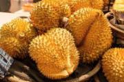 胃肠感冒能吃榴莲吗 胃肠感冒时吃什么食物好