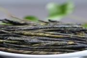 苦丁茶降压效果怎么样 苦丁茶泡几根能降血压