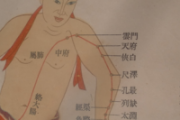 肺经的作用