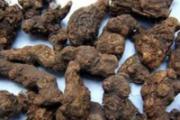 香附的功效与作用及禁忌