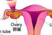 什么是宫外孕