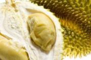 糖尿病能吃榴莲吗
