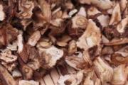 蒲公英茶长虫了还能喝吗 蒲公英茶有黑渣渣正常吗
