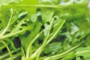 对眼睛好的食物有哪些 眼睛不好要吃什么