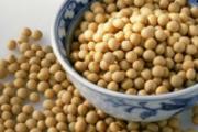 艾滋病吃什么食物最好 吃这些可以延长生命